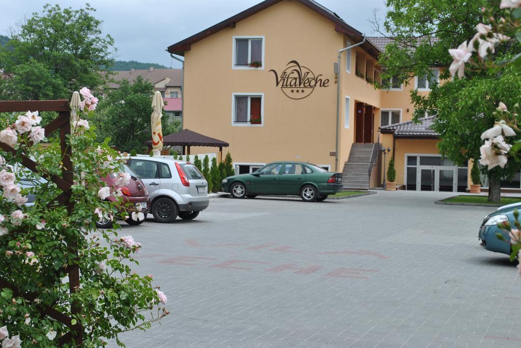 Vila Veche Хацег Екстер'єр фото